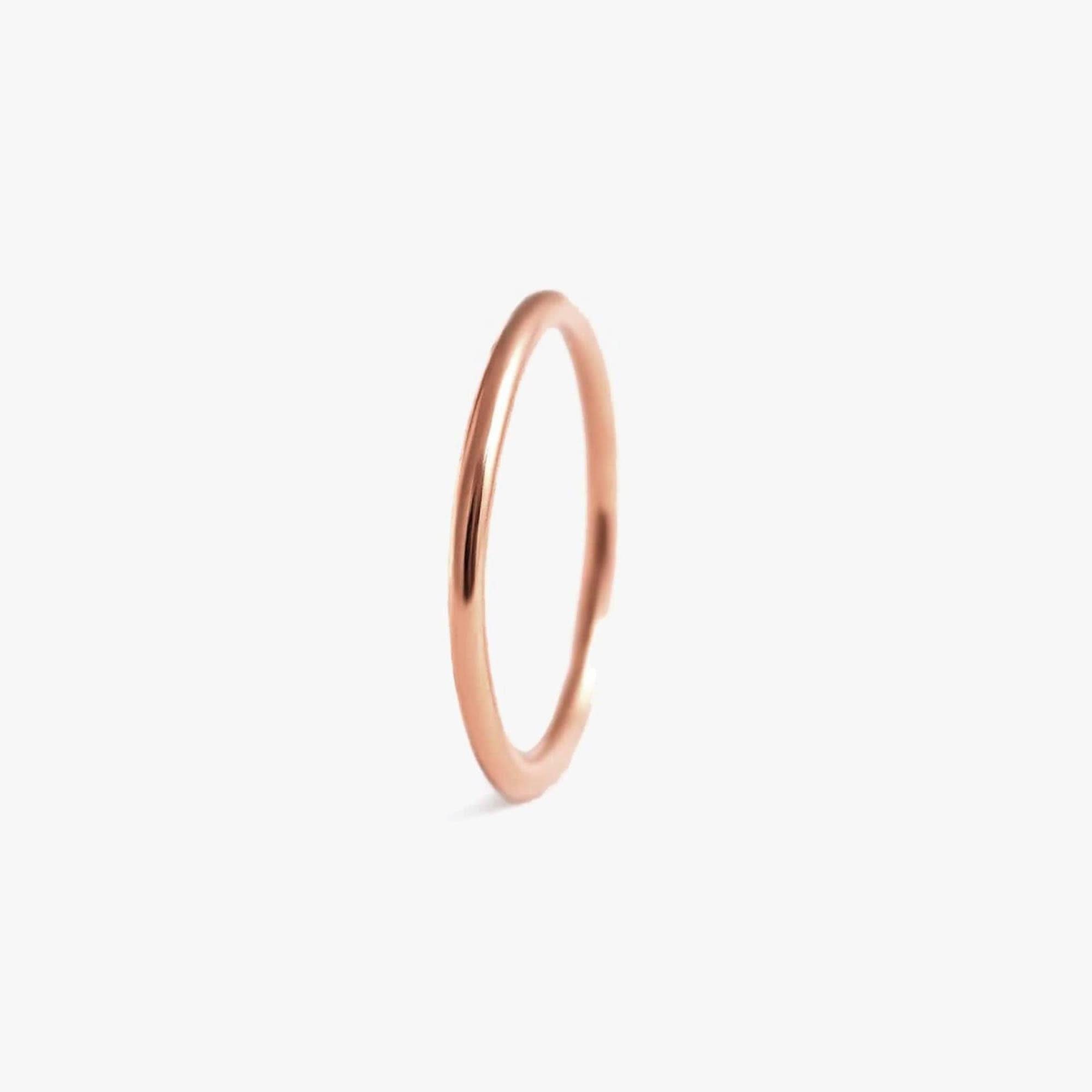 Seamless Clickers/Cartilage Hoop Earrings 14g - EricaJewels